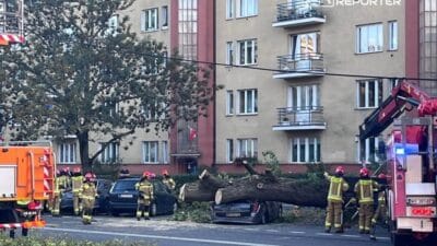 Bir agac tramvay cekisinin ve vagonlarin uzerine devrildi vagonlardan birinde bir anne ve cocuk 11454