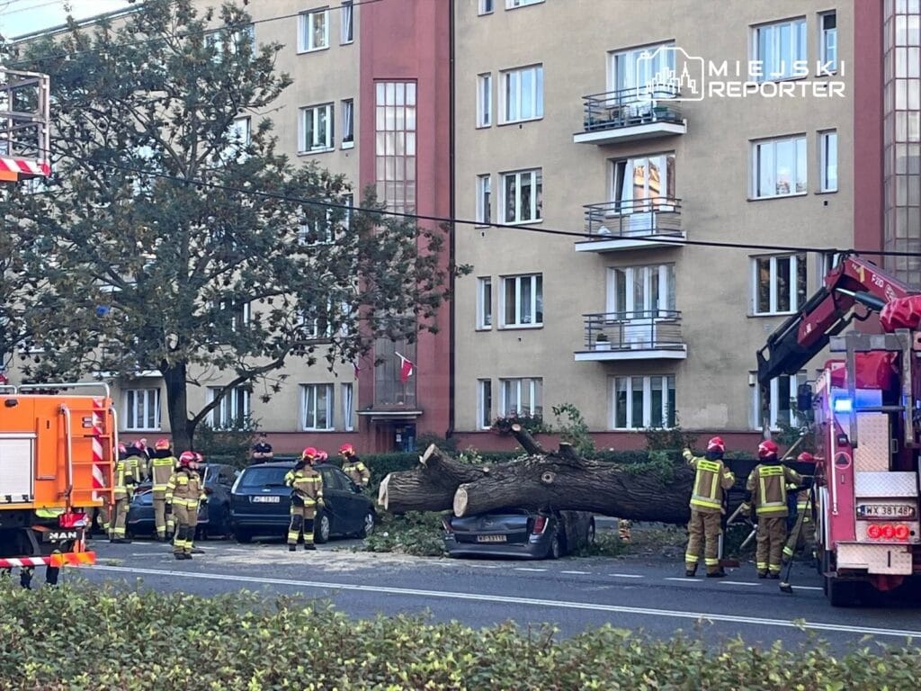 bir agac tramvay cekisinin ve vagonlarin uzerine devrildi vagonlardan birinde bir anne ve cocuk 11454