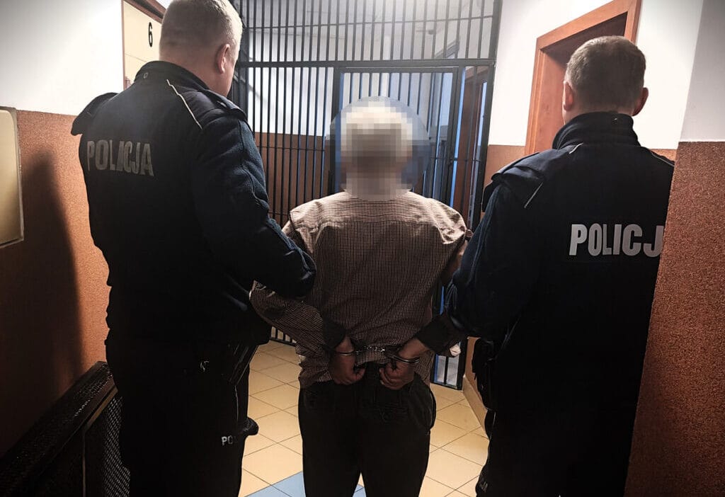 Bir amstaft araziden kacti ve diger kopeklere saldirdi sahibi bir balta kapti ve hayvani oldurdu 67 yasindaki sahis bes yil hapis cezasiyla karsi karsiya 12012