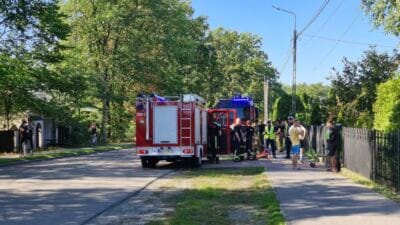 Bir grup bisikletci yaban domuzu surusuyle carpisti varsova yakinlarinda sira disi olay 12339