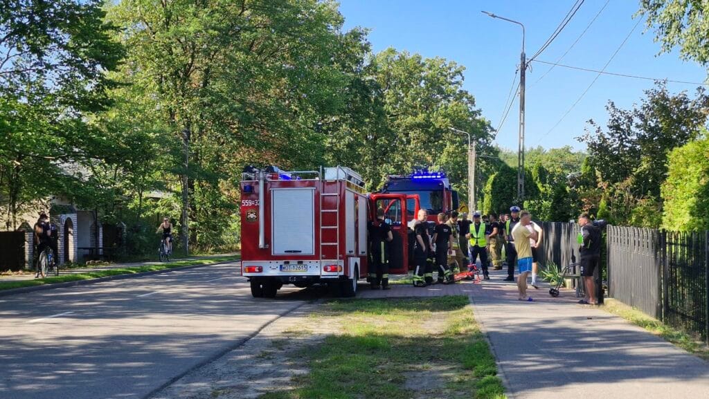 Bir grup bisikletci yaban domuzu surusuyle carpisti varsova yakinlarinda sira disi olay 12339