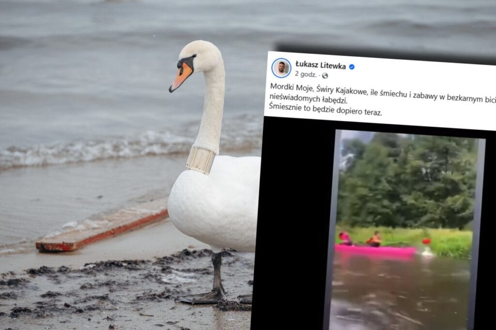 bir kuguyu kurekle dovdu sok edici bir video internete dustu bir milletvekilinden aninda tepki 9959