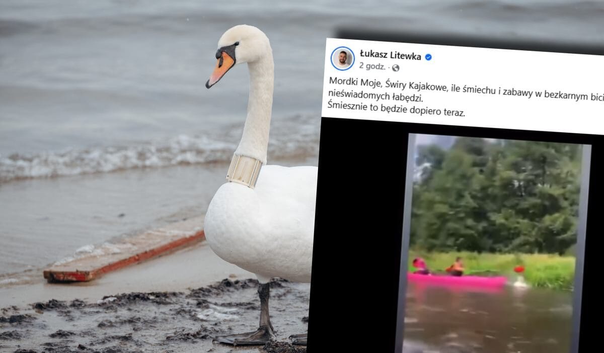 Bir kuguyu kurekle dovdu sok edici bir video internete dustu bir milletvekilinden aninda tepki 9959