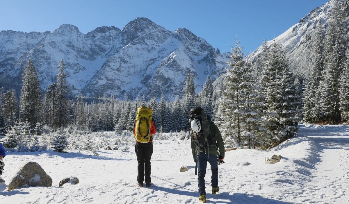 Dehşete kapılan yürüyüşçüler acil durum numarasını engelledi. Topr: lütfen sağduyulu olun 1 Dehsete kapilan yuruyusculer acil durum numarasini engelledi topr lutfen sagduyulu olun 11064