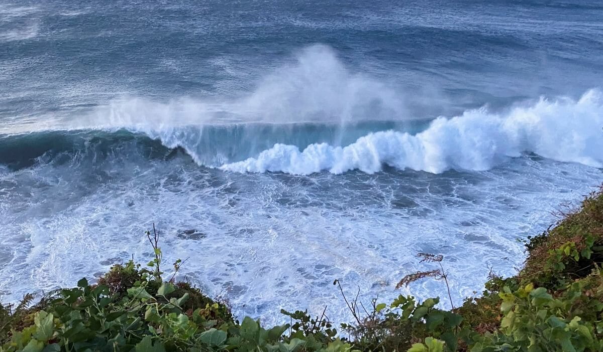Dunya doktora geliyor ve ne yazik ki bu bir saka degil gezegen periyodik muayenesinde basarisiz oldu 13967