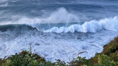 Dunya doktora geliyor ve ne yazik ki bu bir saka degil gezegen periyodik muayenesinde basarisiz oldu 13967
