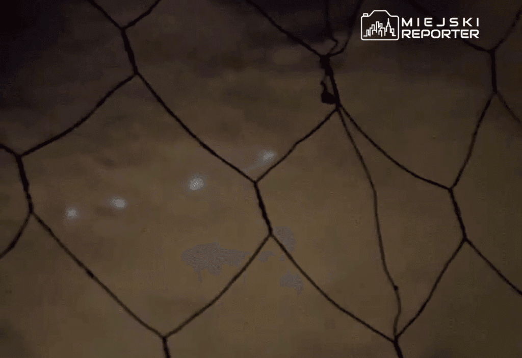 Gece gökyüzünde gizemli ışıklar. Hisar arazisindeki olayın kaynağı? 1 Gece gokyuzunde gizemli isiklar hisar arazisindeki olayin kaynagi 11631