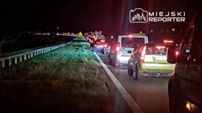 Gece saatlerinde a2 yolunda bir bmw ile bir geyik arasinda ciddi bir carpisma meydana geldi biri agir olmak uzere iki kisi yaralandi 13255
