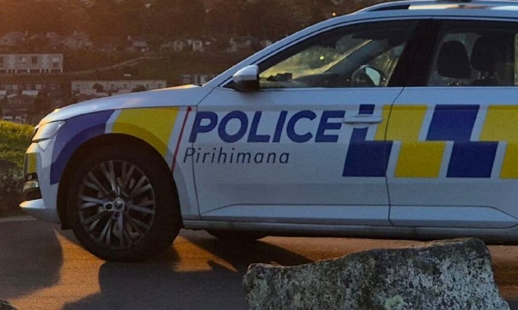 i ki cocugu oldurmekle suclanan kadinin yargilanmasina baslandi cesetler bavullarin icinde bulundu 9893