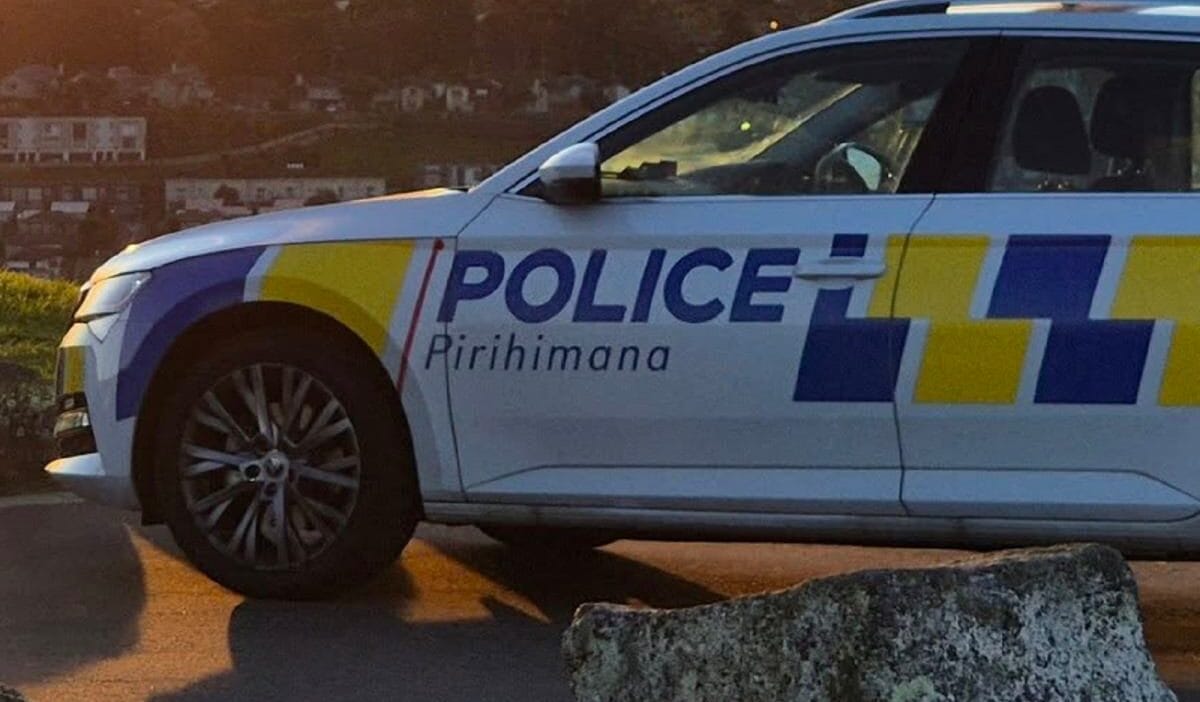 I ki cocugu oldurmekle suclanan kadinin yargilanmasina baslandi cesetler bavullarin icinde bulundu 9893