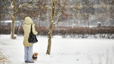 I lk kar ne zaman yagacak sinoptikler kis icin ilk tahminlere sahiptir 12000