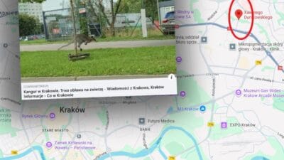 Krakow un merkezinde baska bir kitadan gelen bir hayvan goruldu eylem devam ediyor 11610