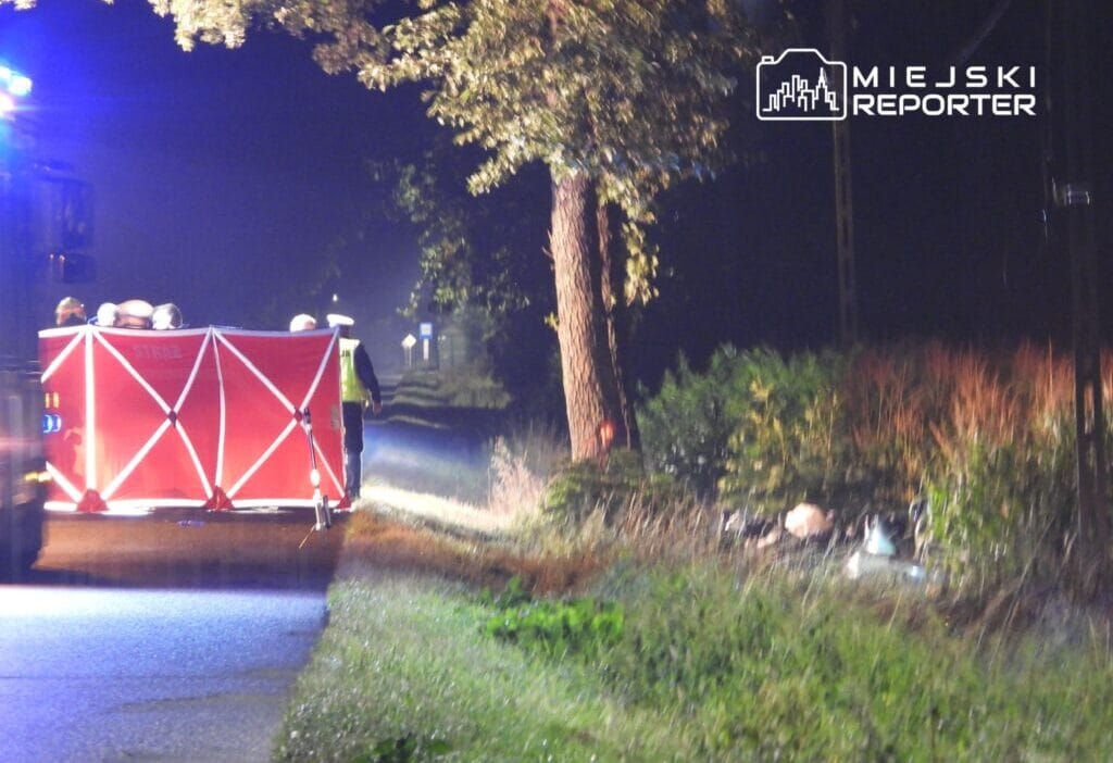 Mercedes bir agaca carptiktan sonra bir hendege dustu surucu olay yerinde hayatini kaybetti 11184