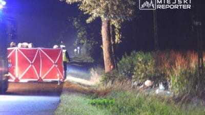 Mercedes bir agaca carptiktan sonra bir hendege dustu surucu olay yerinde hayatini kaybetti 11184