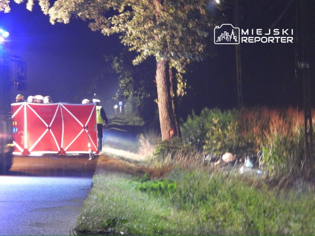 mercedes bir agaca carptiktan sonra bir hendege dustu surucu olay yerinde hayatini kaybetti 11184