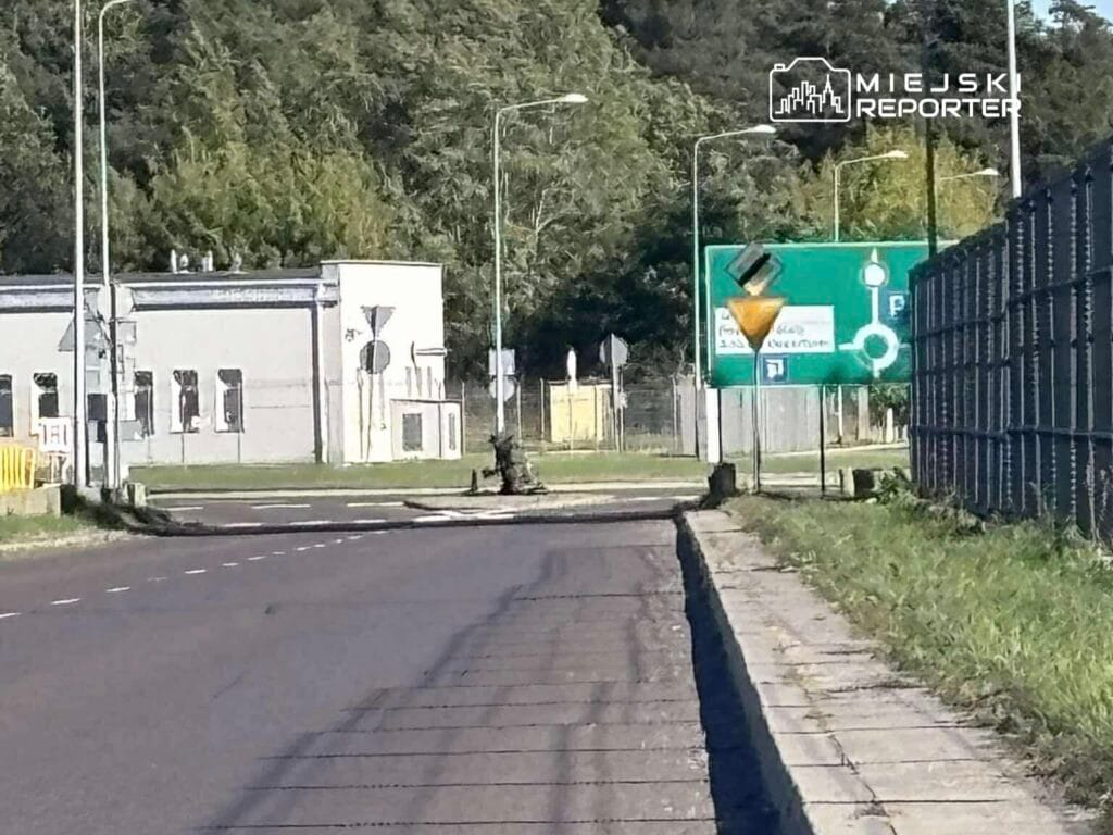 modlin havaalani girisinde terk edilmis bavul havaalani piroteknigi is basinda 12327