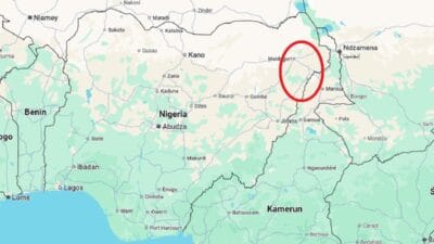 Nijerya cihatcilarin saldirisinda en az 55 kisi hayatini kaybetti 9518