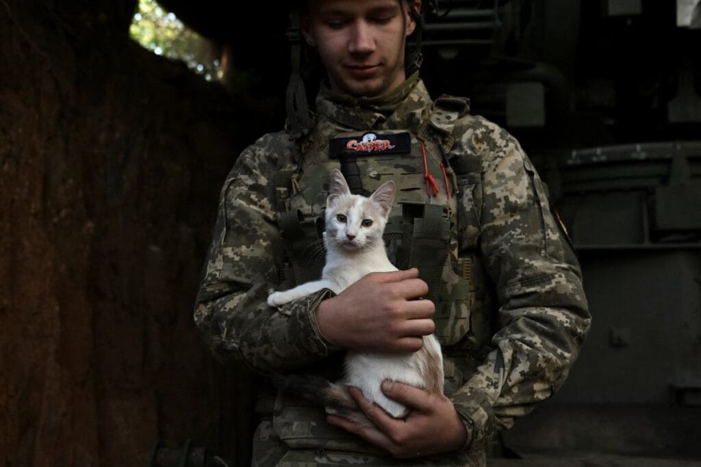 norvecliler ukraynalilari egitiyor polonya da gizli yer 11208