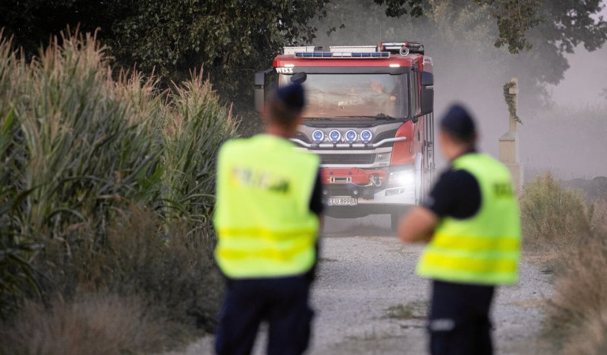 Polis mantar toplayicilari drone benzeri nesnelerin parcalarini buldu 12276