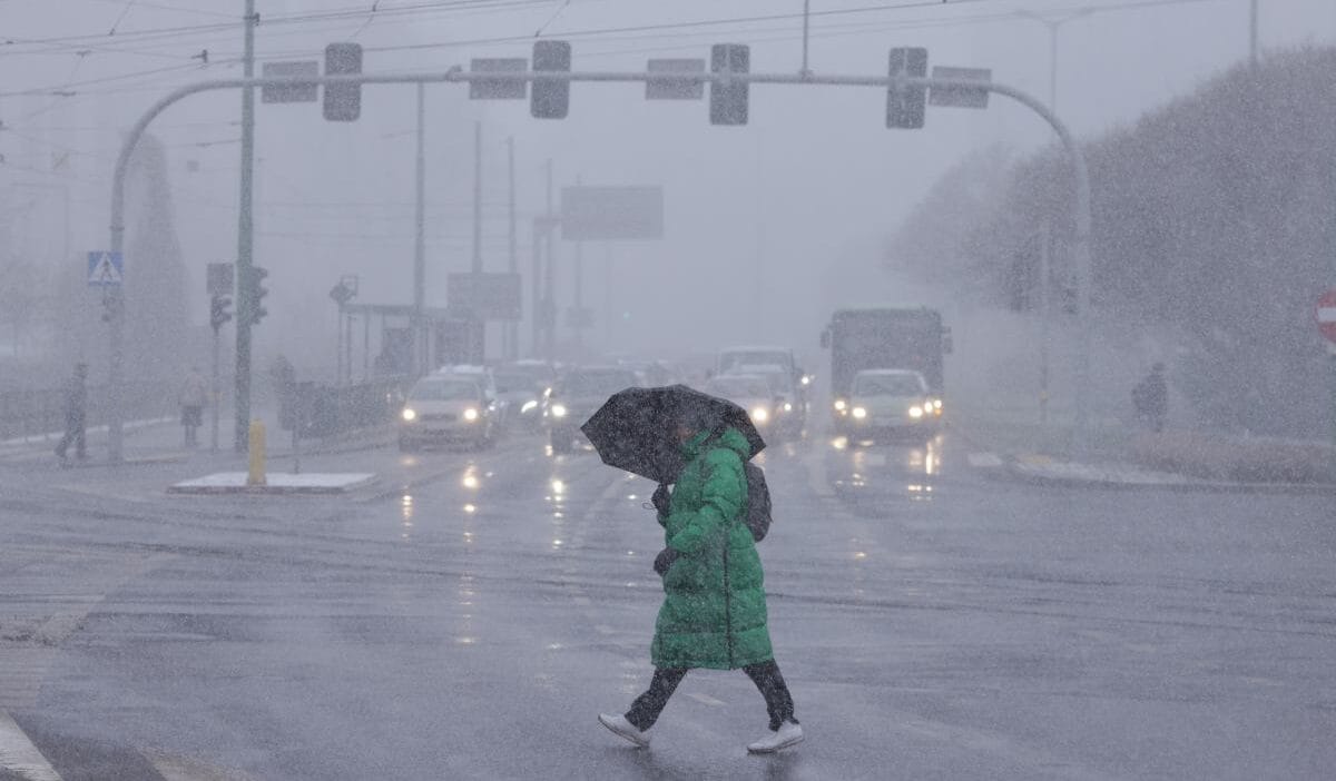 Polonya da kar ne zaman yagacak buralar coktan beyaza burundu kar ortusunde 7 cm ye kadar artis 13949