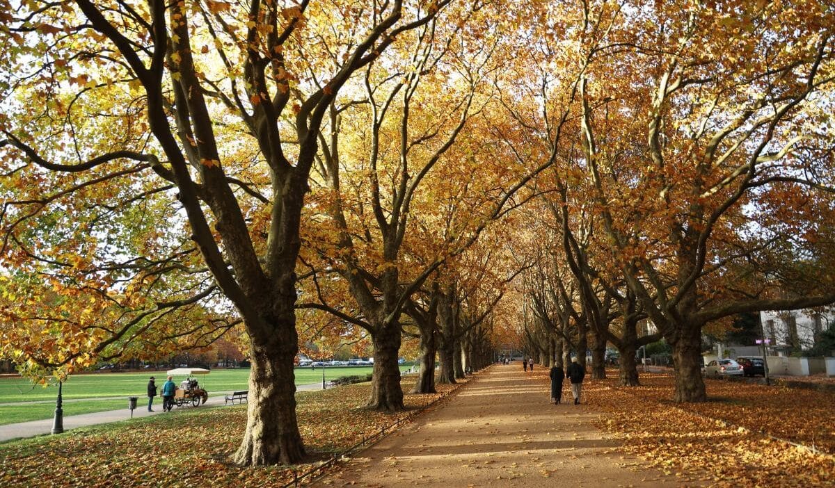 Polonya da sonbahar havasi geldi imgw havalarin ne zaman isinacagini acikliyor 12655