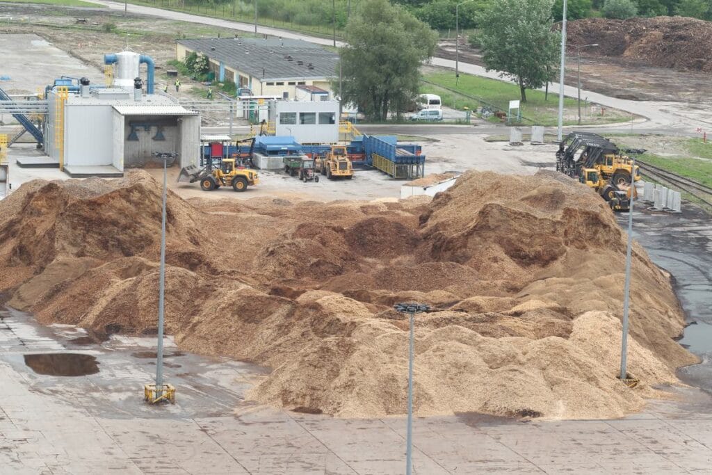 polonya ithalata bagimli hale gelebilir odun rapor hukumetin planlari konusunda uyariyor 13547