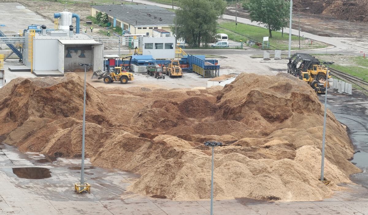 Polonya ithalata bağımlı hale gelebilir... Odun. Rapor hükümetin planları konusunda uyarıyor 1 Polonya ithalata bagimli hale gelebilir odun rapor hukumetin planlari konusunda uyariyor 13547