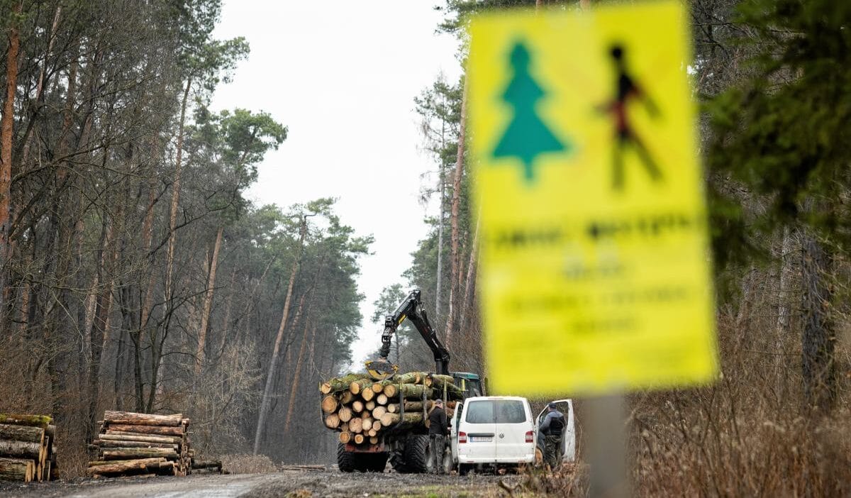 Polonya uluslararasi bir sozlesmeyi ihlal etmektedir vatandaslarin ormanlarla ilgili haklarinin kisitlandigi dusunulmektedir 8903