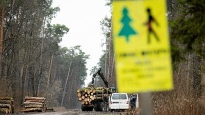 Polonya uluslararası bir sözleşmeyi ihlal etmektedir. Vatandaşların ormanlarla ilgili haklarının kısıtlandığı düşünülmektedir 3 Polonya uluslararasi bir sozlesmeyi ihlal etmektedir vatandaslarin ormanlarla ilgili haklarinin kisitlandigi dusunulmektedir 8903