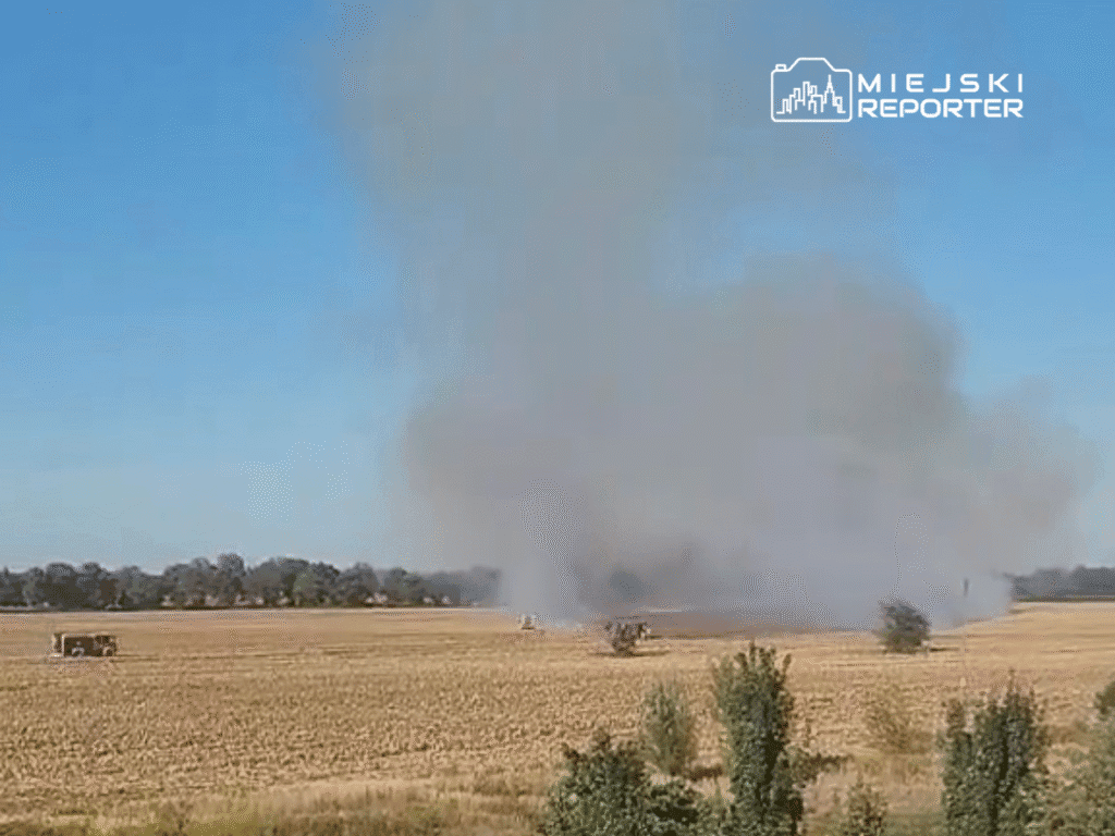 pruszk w yakinlarindaki aniz yangini 9 itfaiye ekibi tarafindan sonduruldu 12487