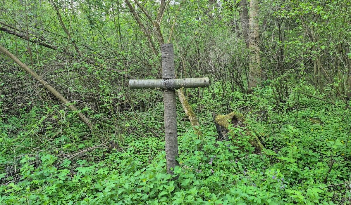 Puzniki volhynian katliaminin kurbanlari icin cenaze torenleri bu koyun yerinde orman var 9428