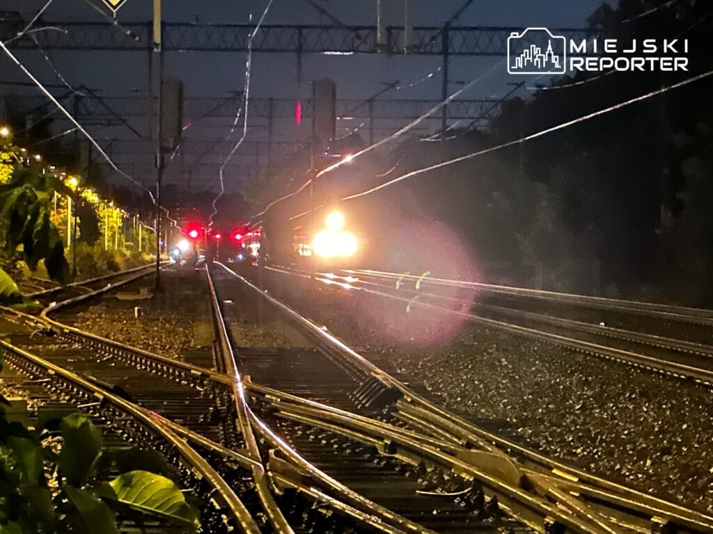 sabah treni geyikle carpisti demiryolunda zorluklar 13006