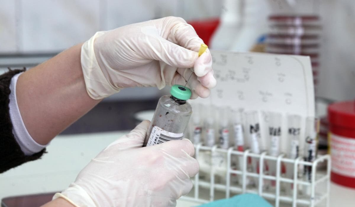 Sisifos isi mecklenburg da ehec bakterisine karsi mucadele 11685