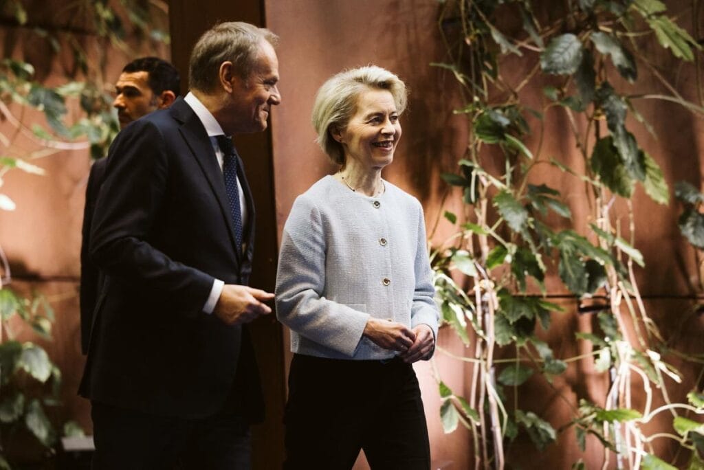 slawomir mentzen degilse almanya nin cikarlari icin en guclu sekilde kim hareket ediyor mercosur hakkindaki tum gercekler 9707