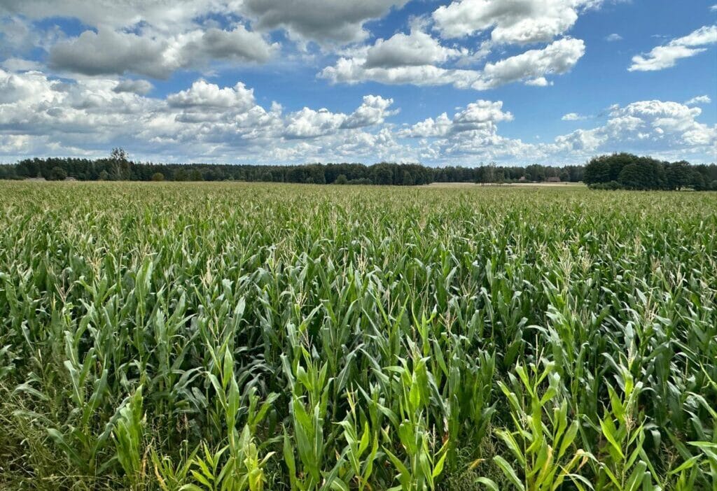 Trajik tarla calismasi kazasi bicerdoverin surukledigi adam 12721