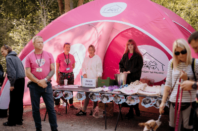 Ücretsiz çip takma ve bakıcılardan tavsiyeler - bir varsovalı evlat edin'in yeni sayısı 1 Ucretsiz cip takma ve bakicilardan tavsiyeler bir varsovali evlat edin in yeni sayisi 9227