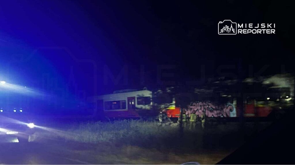 Wawer de bir geyik ile tren carpisti ekipler olay yerinde calisiyor 10397