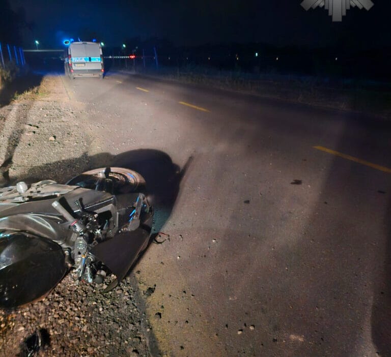 Yaban domuzu ile motosiklet çarpıştı. Sürücü yaralandı, hayvan kurtarılamadı 1 Yaban domuzu ile motosiklet carpisti surucu yaralandi hayvan kurtarilamadi 8981