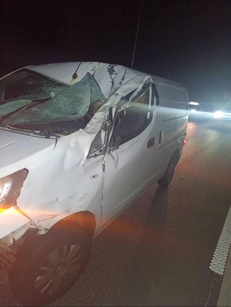 yollarda bir dizi vahsi yasam olayi polis cagrisi 12829