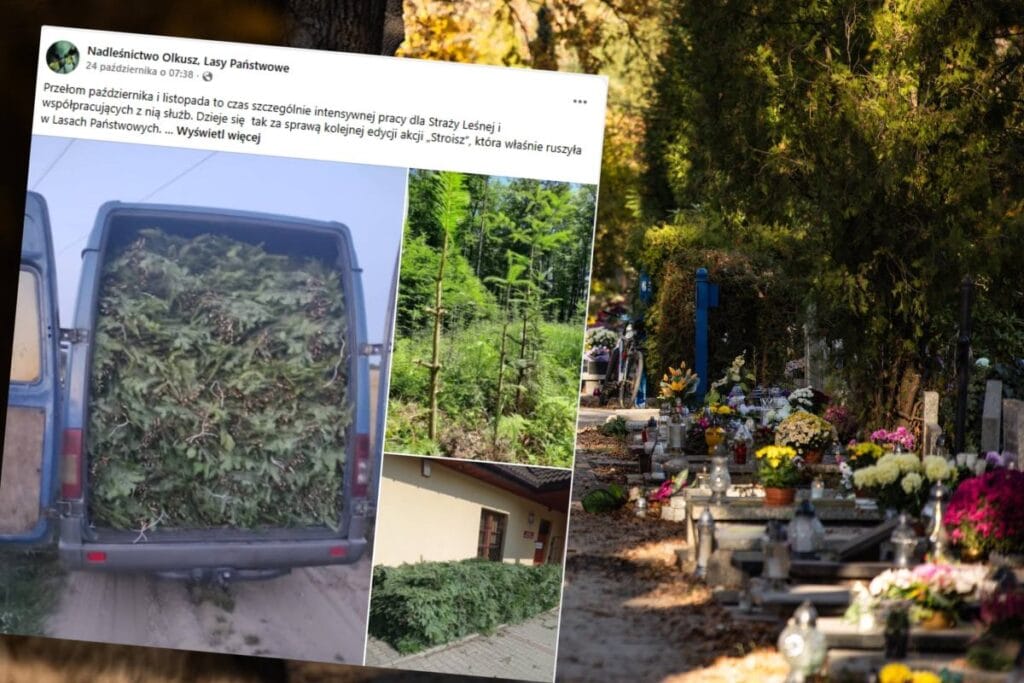 1 kasim oncesi denetimler basladi gr b deki bir kamis icin para cezasi mi bu mumkun 19487