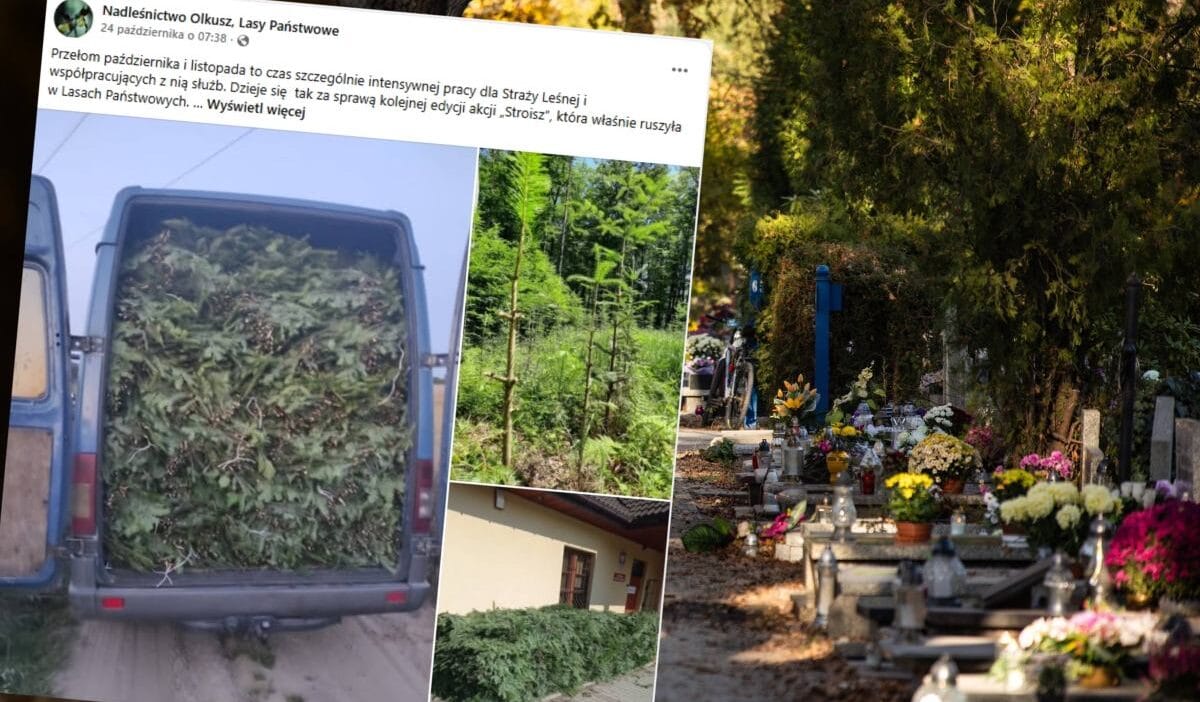 1 kasim oncesi denetimler basladi gr b deki bir kamis icin para cezasi mi bu mumkun 19487