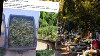 1 kasim oncesi denetimler basladi gr b deki bir kamis icin para cezasi mi bu mumkun 19487