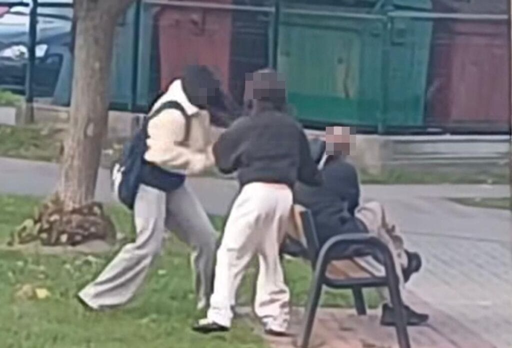 13 yasindaki iki kiz krasnystaw da bir adama saldirdi kafasina vurmaya basladilar 16550