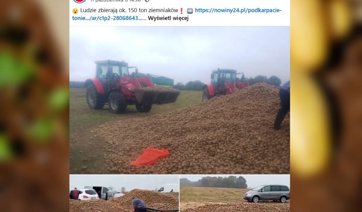 150 ton patates bir günde yok oldu. Hepsi bir söylenti yüzünden. "bareja filmi gibi bir kabus". 1 150 ton patates bir gunde yok oldu hepsi bir soylenti yuzunden bareja filmi gibi bir kabus 16874