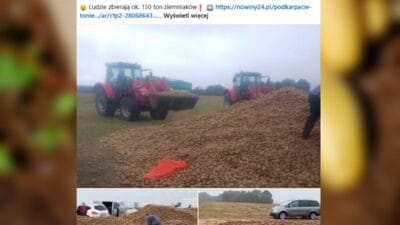 150 ton patates bir günde yok oldu. Hepsi bir söylenti yüzünden. "bareja filmi gibi bir kabus". 3 150 ton patates bir gunde yok oldu hepsi bir soylenti yuzunden bareja filmi gibi bir kabus 16874