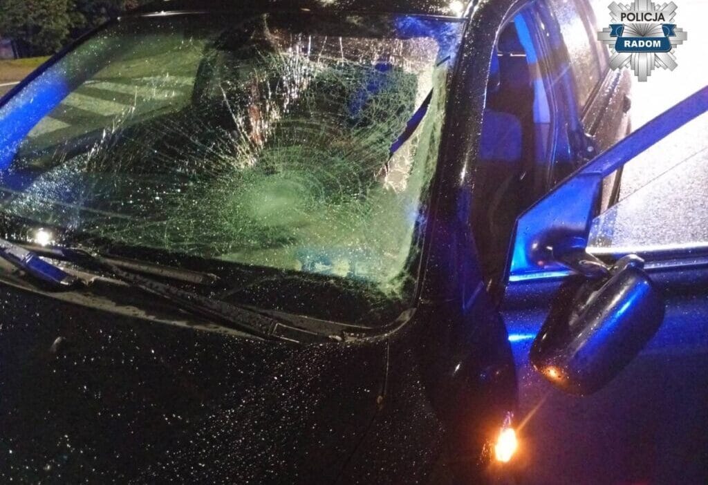 20 yasindaki bir cocuk yaya gecidinde 16 yasindaki bir cocuga carpti 15495