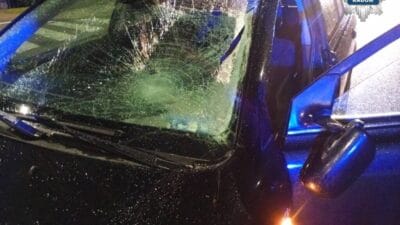 20 yasindaki bir cocuk yaya gecidinde 16 yasindaki bir cocuga carpti 15495