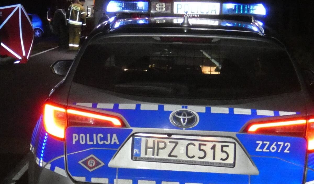 Asagi silezya bir yayaya carpmis ve cesedi ormana atmistir fail hala serbest 16334