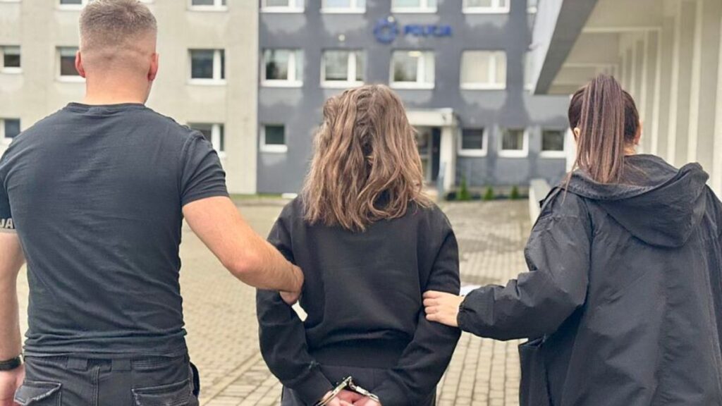 bavuldaki cesedin gizemi yeni bilgiler vahsi cinayetin suphelileri tutuklandi 20182