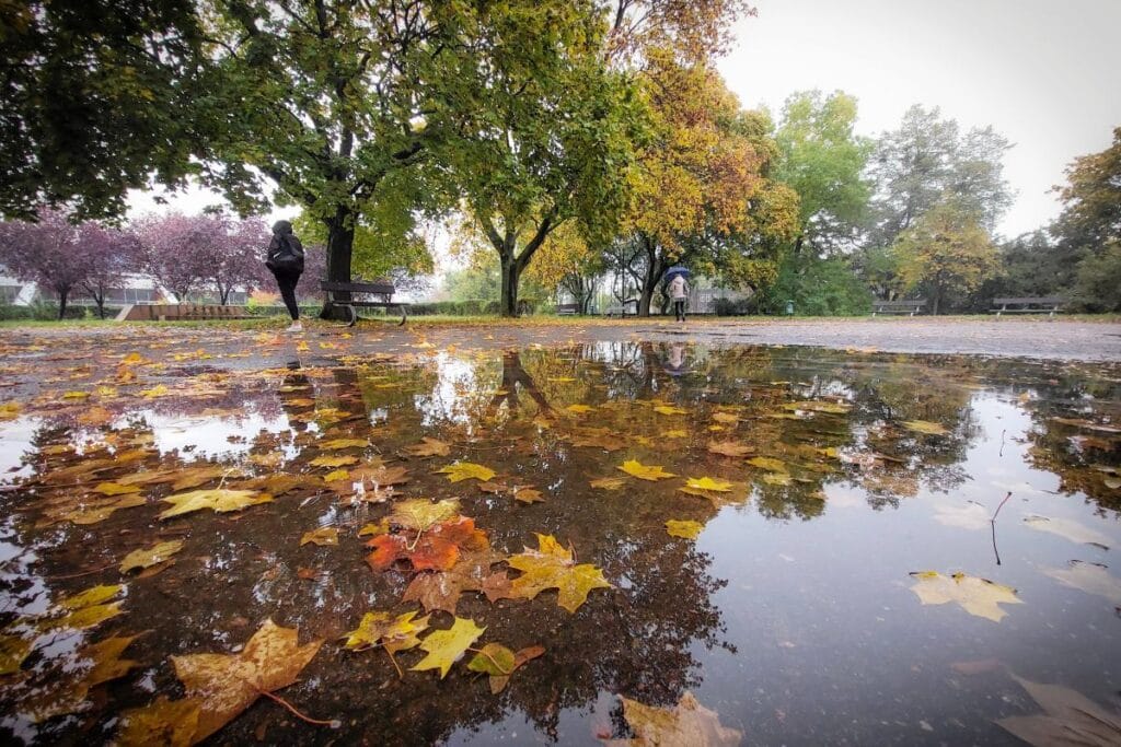 bebeklerin yazi geliyor ekim ayina serin bir baslangic yaptiktan sonra 23 derece bile 16901